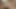 Japan bear threesome in the kitchen (pixelated)