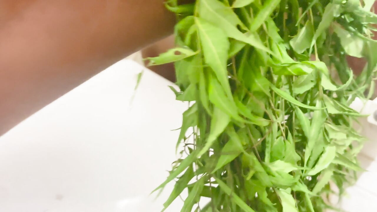 Desi transgender sex with bathroom
