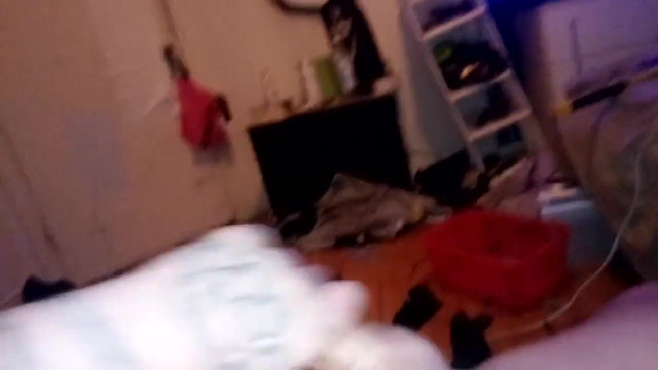 Me exhibitionniste video