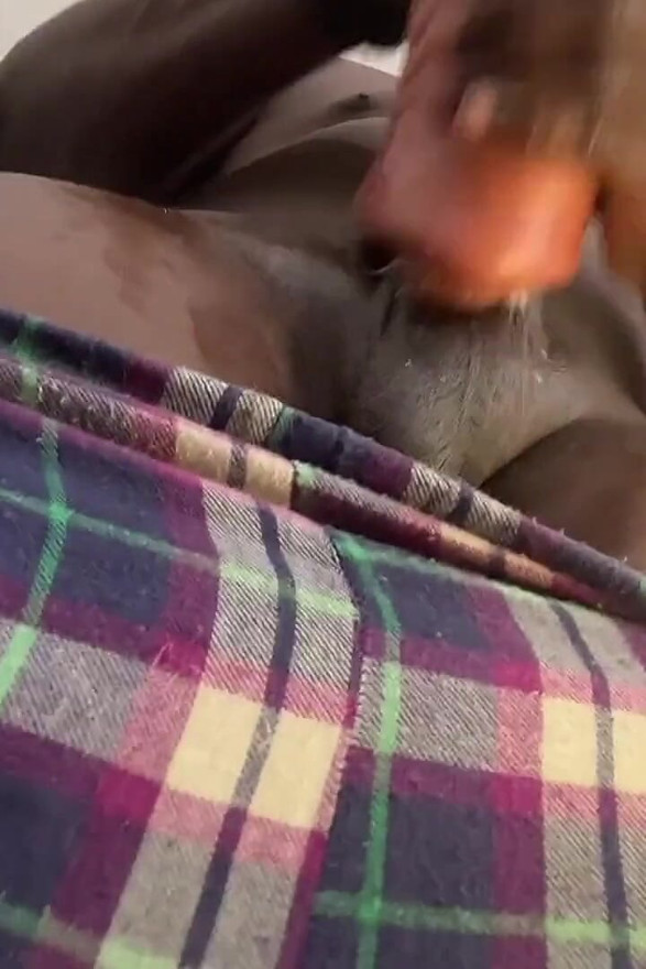 Need a Cum Draining Slut to Suck This Dick