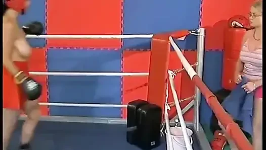 Boxkampf Für Riesentitten
