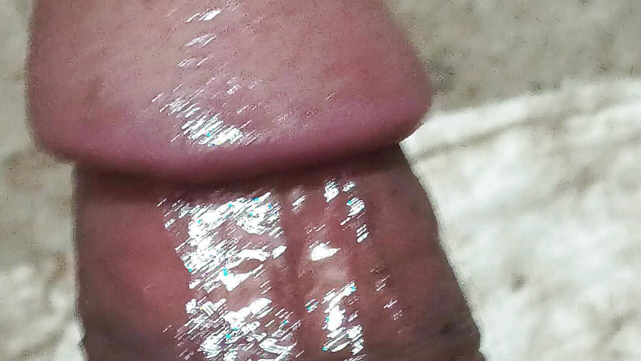 Moj dugi Desi dlakavi