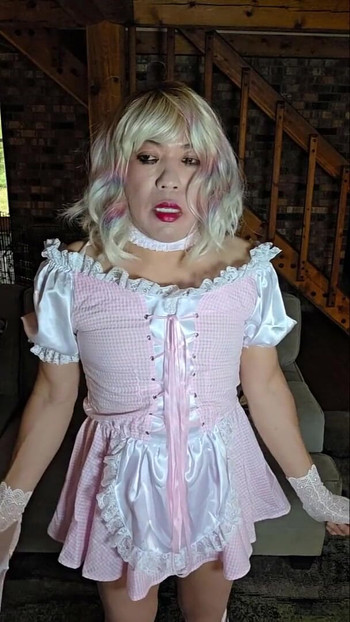 Pregled videozapisa