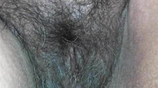 wet hairy pussy