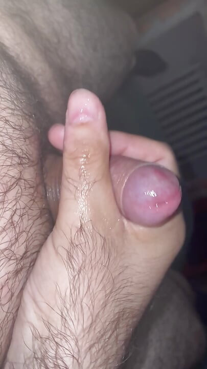 Vit kuk torterad
