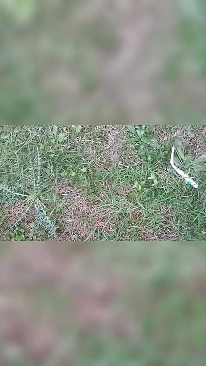 Part 2 - Desi outdoor sex with a stranger girl in the jungle.