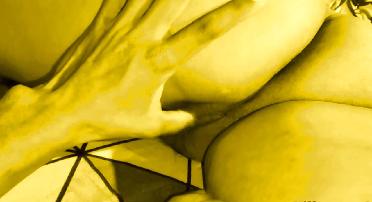 Patronum seksi karım büyük siyah yarağımla amını sikmemi istiyor