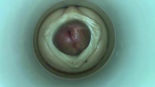 Model de spermă