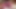 Budak seks asia dengan paha pink lagi asik dudukin muka budak seksnya di karpet