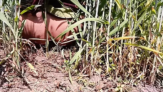 Outdoor sex vedio penish boljob faram lund chusvaiaya