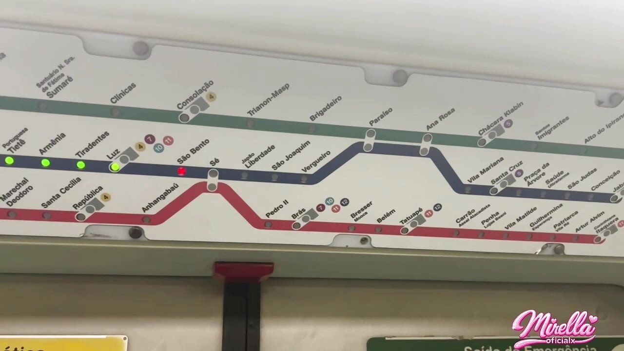 She Can't Stand to See the Volume Marking and Sucked Me Inside the São Paulo Subway