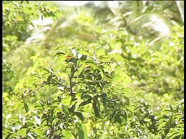 Гърдаста блондинка мацка я чукат и свършват навън