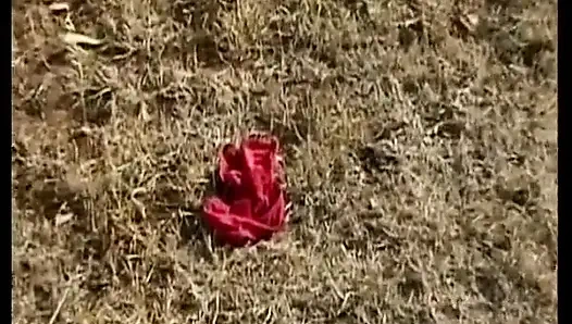 Brunette German Cougar with Naturals Gets Railed in Outdoor Orgy