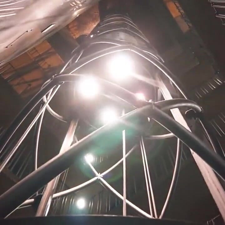 그녀의 꼬리를 쫓는