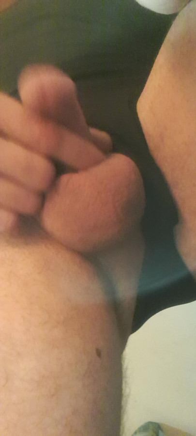 Cock polisch