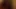 amatör yüz 481 pov