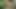 Petershentai Intense Sex Hot Big Ass Tasty Sweet Hot Ass Doggy Style Swallowing Cum Sissy Whore Pregnant with Cum