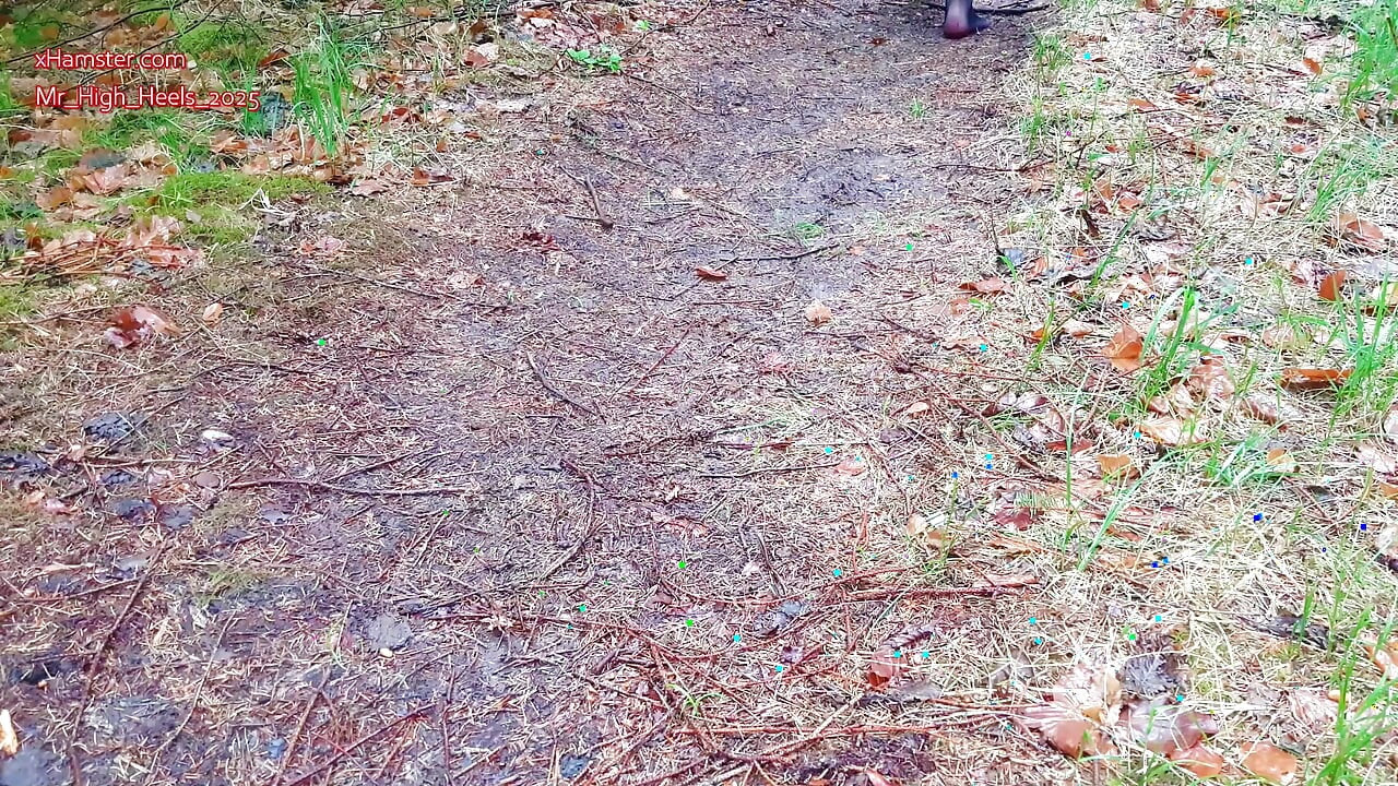 Nylon voeten in het bos