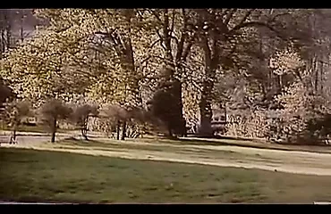 Vintage French 2.flv