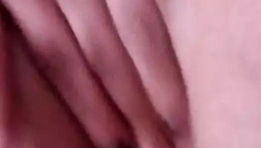 Bg2019