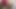 彼女はベッドの上でセックスされるのが好きです