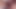 エクストリーム・ダブル・ポンプ公開 2026