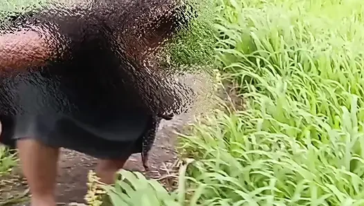 Baldızının güzel amını almak için evden tarlaya gitti ve onunla dört katwan alıyor, kayınbiraderi kız kardeşini sikiyor