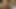 Beautiful 50 Year Old Housewife. "I've Eaten My Husband's Subordinate Cock." - Part.2