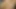 Bulgarian BG