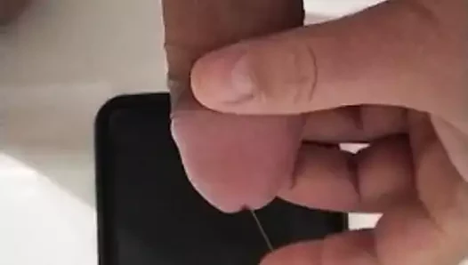 Solo sperma