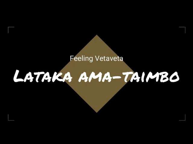 My Video