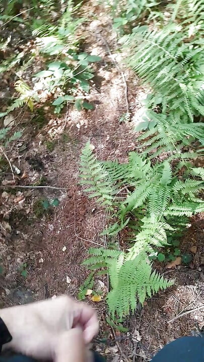 Quick jerk and cumshot in the woods