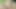 Elle muamele ve sikişen kıllı amcık yakın çekim 4k 60 fps