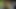 I fuck my STEPDAUGHTER at night