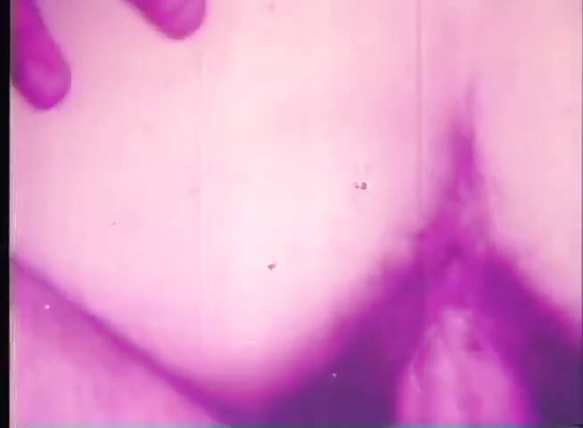 Big vintage cock sucking party