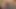 ملوك الكلية 8 لقد انضممت إلى الذئاب