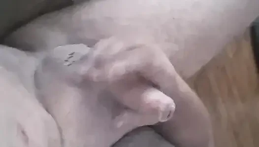 Shaven cock