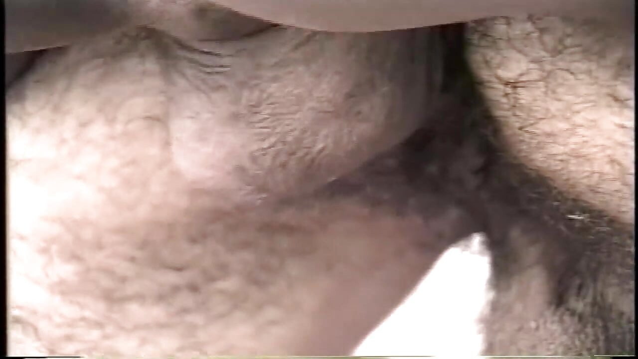 قلب شيميل ينبض 2