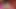Futanari. Büyük yaraklı prenses Jasmine kızı. Porn Aladdin Series.
