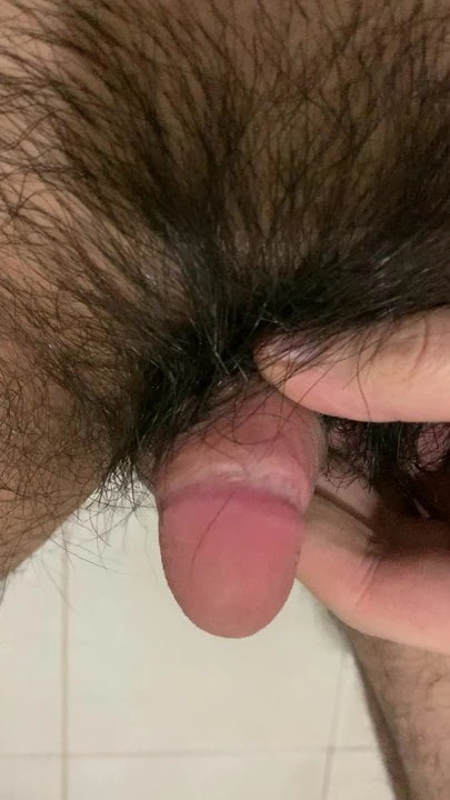 When my pubic hair longer than my small asian penis