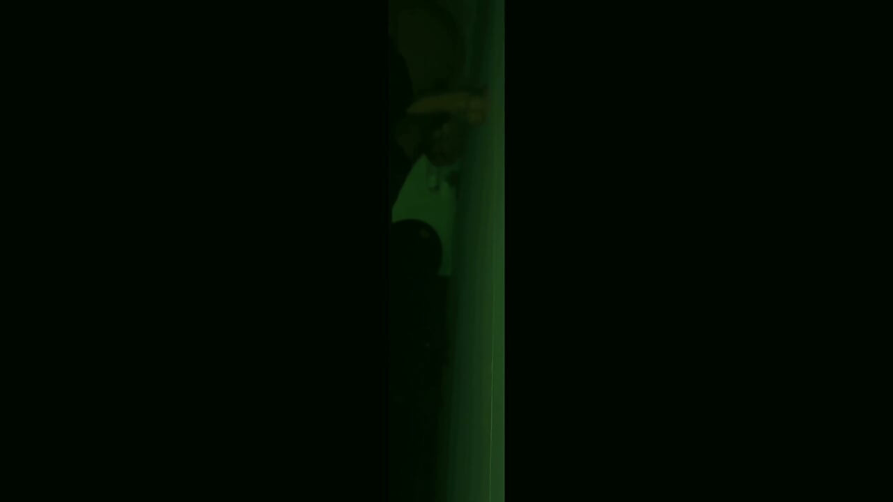 Night vision: seks anal habis-habisan pakai dildo ukuran kontol raksasa