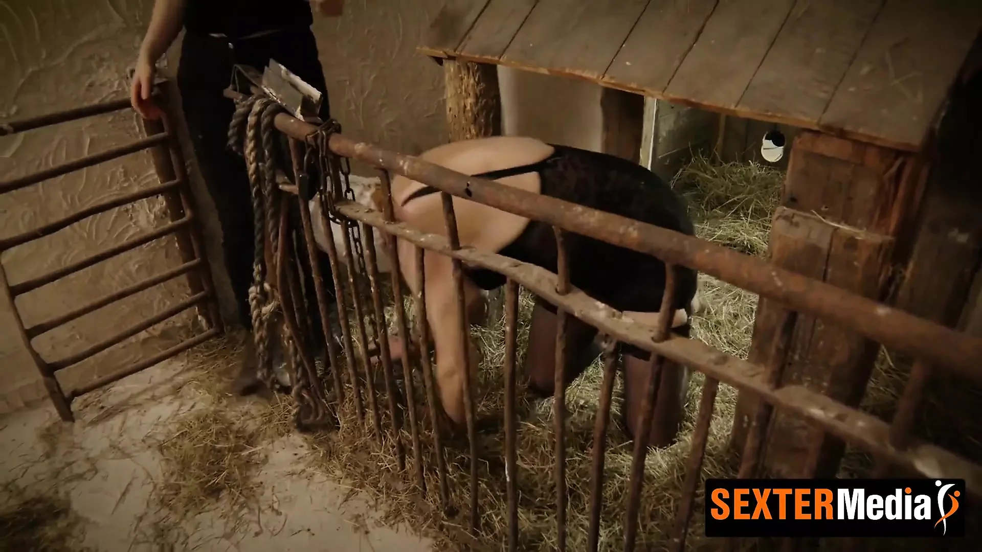 Pigsty extreme Schweinestall extrem