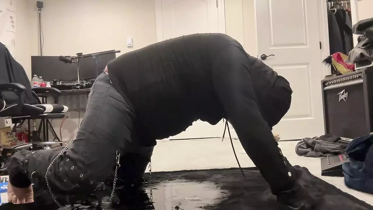 Pisse wie ein hund