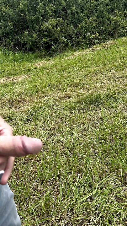 Stop in the woods