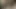 Mallu Indian Slut Cock Sucking