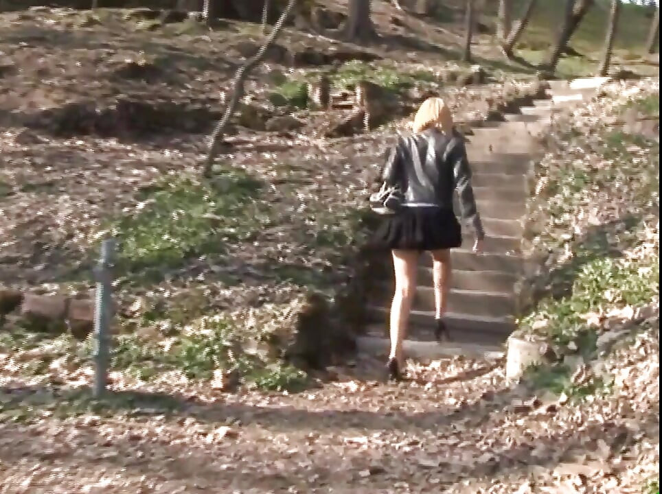 Big cock sucking in the park