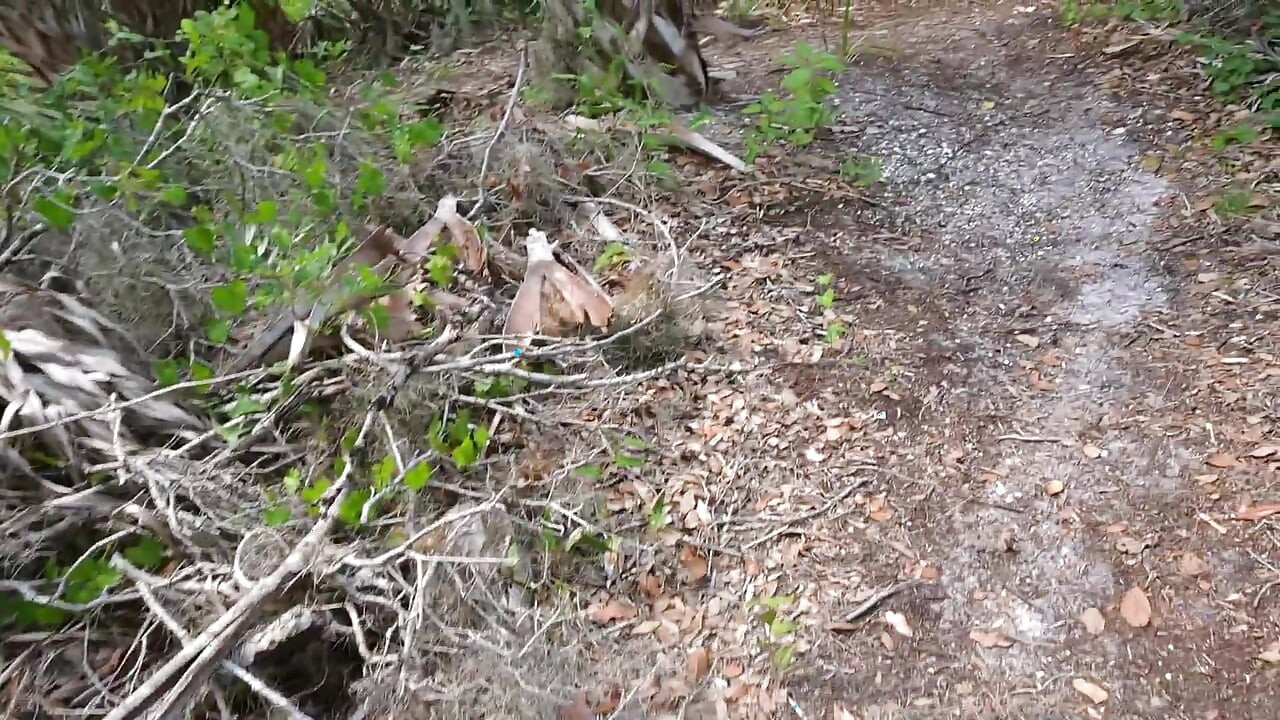 BTS Šetnja prirodom i masturbacija na stazi