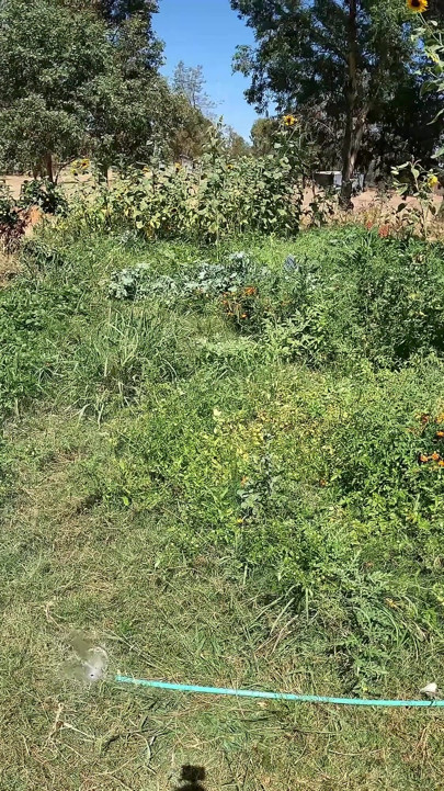 POV: You Fucked Me in the Garden & Got Soaked by Hose