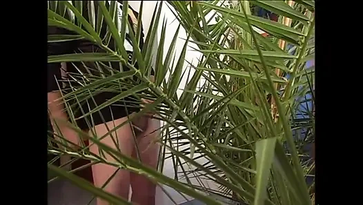 Sweet Sins Of Gluttony (tam Film HD Versiyonu)