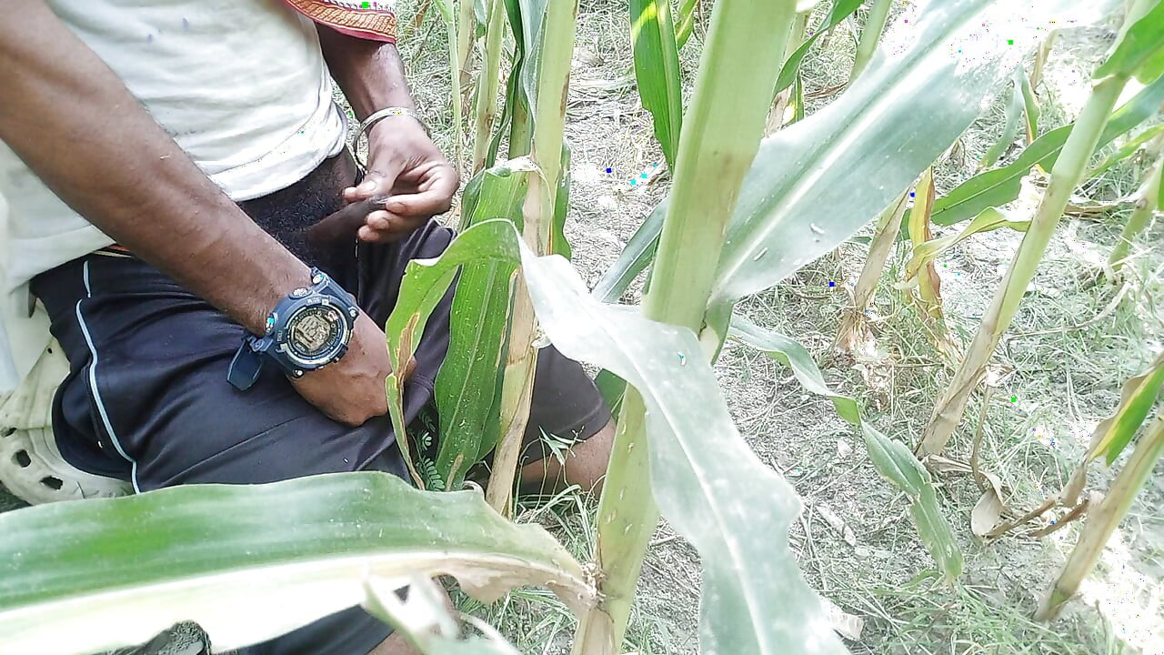 The village boy went to the cornfield and hit him hard